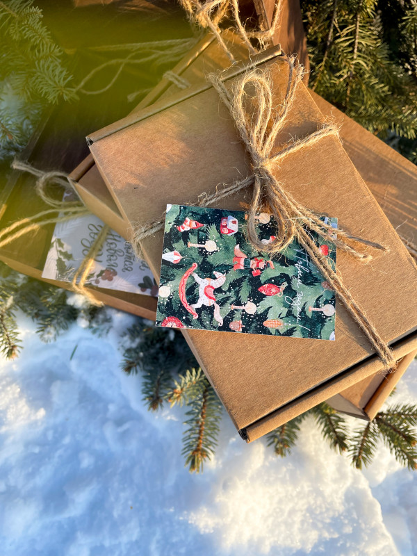Картонная коробка #10: 4 сорта мёда по ≈250гр, кедровые орешки, кедровое варенье